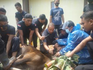 Peringati Idul Adha 1441 Hijriah, Satbrimob Polda Kepri Sembelih 4 Sapi dan 7 Kambing