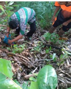 Masih Berdarah, Warga Temukan Bayi di Hutan Sambau Batam