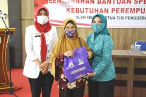 Pjs Ketua PKK Kepri Beri Perhatian Khusus Terhadap Lansia dan Ibu Hamil