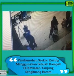 Sadis, Seorang Pria di Batam Tega Bunuh Kucing Pakai Kampak