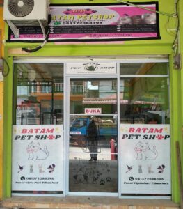 Batam PetShop, Toko Jasa Penitipan Kucing Terlengkap dan Termurah di Batam