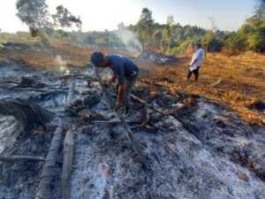 Polsek galang Tangkap Pembakar Hutan dan Lahan