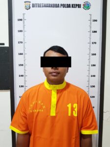 Miliki Ganja 1,2 Kg, Pria di Batam ini Ditangkap Polisi