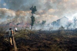 Sepekan, 60 Hektare Hutan dan Lahan di Bintan Terbakar