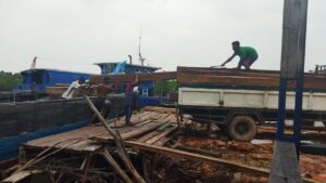 Puluhan Ton Kayu Diduga Ilegal Masuk Lewat Pelabuhan Tikus Tanjung Gundap