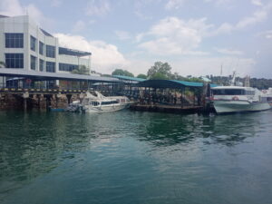 Kasus Covid-19 Meningkat, Pemprov Kepri Larang Mudik Lokal