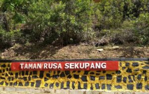 Proyek Pembangunan Taman Rusa Tahap 3, Diduga Ada Kongkalikong Antara Pokja dan Pemenang Tender
