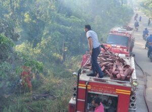 Hutan di Kampung Jabi Nongsa Terbakar