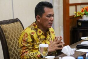 Gubernur Tegaskan Batam dan Bintan Sangat Siap Terima Turis Mancanegara