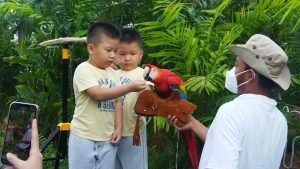 Bangkitkan Pertumbuhan Ekonomi, Panbil Group Luncurkan Wahana Edukasi Bernuansa Alam