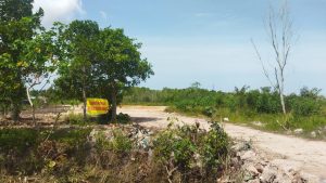 PT SF Sukses Abadi Diduga Jual Tanah Kavling Tanpa Dokumen Resmi