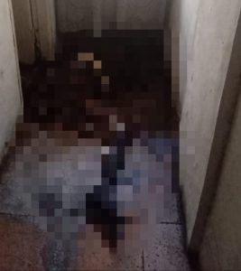 Wanita Paruh Baya Ditemukan Tewas Membusuk di Apartemen Avava Jodoh
