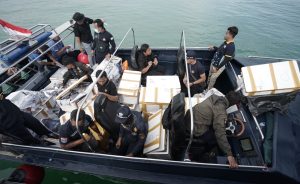Bea Cukai Kepri Gagalkan Penyelundupan Benih Lobster Senilai Rp 14 Milyar