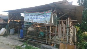 Warga Batam Terancam Tidak Bisa Berkurban Idul Adha, Stok Hewan Kurban Menipis Dampak Virus PMK