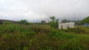 Direncanakan Segera Dibangun dengan Konsep Modern, Ini Kondisi Pasar Induk Jodoh Terkini