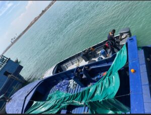 Bea Cukai Batam Gagalkan  Penyelundupan Benih Baby Lobster Senilai Rp9 Miliar