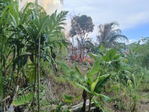 Dapur Pondok Pesantren Baitul Rahman terbakar