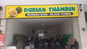 Hari Gini Belum Nyobain Durian Musang King? Yuk Mampir Sekalian Icip Durian Black ton Malaysia Disini