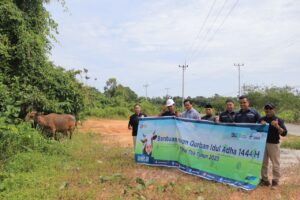 Jelang Idul Adha, PT Timah Tbk Distribusikan Sepuluh Ekor Hewan Kurban ke Masyarakat di Kundur Barat