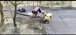 Membina Kelompok Tuah Ketam, PT Timah Tbk Mendorong Kemandirian Ekonomi Nelayan Desa Sawang Laut