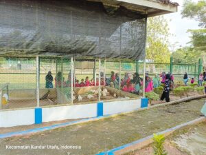 Siswa TK Bina Permata Desa Prayun Gembira Bisa Belajar dan Melihat Satwa di Kundur Park PT Timah Tbk
