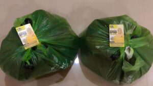 Sudah 14 Hari Temuan Pelanggaran Pemilu, Bawaslu Bintan Belum Berani Ungkapkan Status Istri Sekda