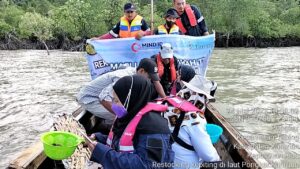 PT Timah Tbk Lakukan Restocking Kepiting di Pulau Kundur, Jaga Ekosistem Pesisir Sekaligus Berikan Dampak Ekonomi Bagi Nelayan