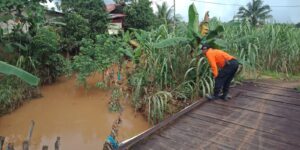 Bocah 14 Tahun Diduga Terbawa Arus Sungai, Kepala Basarnas Tanjungpinang: Masih Pencarian
