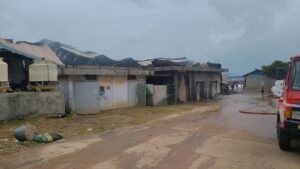 Perusahaan Produksi Kotak Gabus di Nongsa Hangus Terbakar