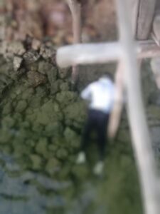 BREAKING NEWS! Ada Mayat Pria di Bawah Jembatan 5 Barelang