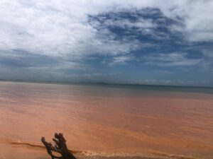 Ketua Komisi II DPRD Kepri Angkat Isu Pencemaran Laut di Teluk Mata Ikan oleh Proyek Pembangunan
