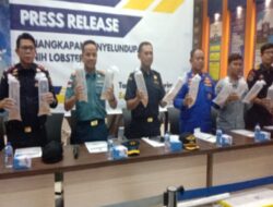 Bea Cukai Kanwil DJBC Khusus Kepulauan Riau Gagalkan Penyelundupan Benih Baby Lobster Senilai Rp17.7 Milliar