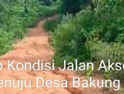 Kecewa Terhadap Calon Bupati Lingga Alias Wello