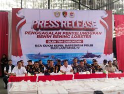 DJBC Kepri Gagalkan Penyeludupan Baby Lobster Senilai 23,8 Miliar