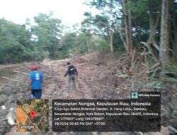 Hutan Mangrove di Sambau Dibabat Orang Tak Dikenal