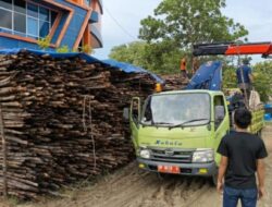 BC Kepri Gagalkan  Penyelundupan 15.000  Batang Kayu Teki