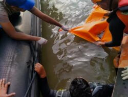 Sempat Tenggelam, Penyelam Besi Tua di Perairan Sekupang Ditemukan