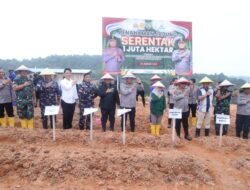 Wujud Dukungan terhadap Program Ketahanan Pangan Nasional, TNI AL Hadiri Penanaman Jagung di Nongsa