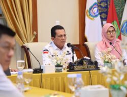 Rakor dengan Mendagri, Gubernur Ansar Ajukan Diskresi untuk Maksimalkan Penataan Non ASN Kepri