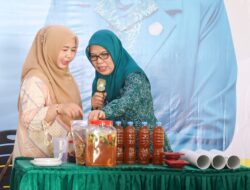 Dukung Kesejahteraan Keluarga, TP-PKK Kepri Fokus pada Program Gizi di Penyengat