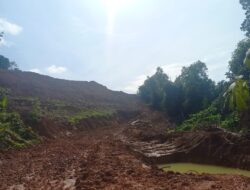 Benarkah Proyek Cut and Fill di Kawasan Hotel Vista Milik Wagub Kepri? ini Fakta baru!