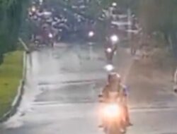 Pohon Tumbang Di Halte Perum Tamansari Tiban Macet Hingga 4 Km