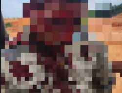 Bentrokan Di Nongsa, 5 Karyawan PT Citra Tritunas Prakarsa Babak Belur Dihajar Massa