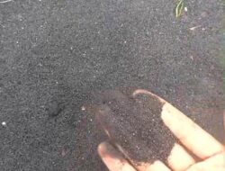 Komisi III DPRD Kota Batam Segera Sidak Pembuangan Limbah di Samping SD 002 Batu Ampar