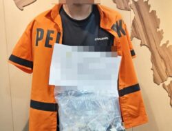 Gagal Terbang, Kurir Narkoba Ditangkap di Bandara Hang Nadim Batam