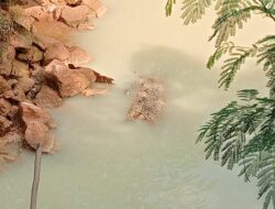 WALHI Desak Penghentian Operasi Pabrik Plastik PT PRI di Batam dan Investigasi Menyeluruh Dugaan Pencemaran Lingkungan