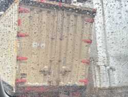 Gudang  penampungan  Barang Expedisi Ilegal di Pelita: Berada di Lokasi  Tersembunyi