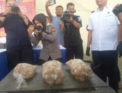 Polisi Gagalkan Penyeludupan Puluhan Kantong Telur Puyu Hijau yang Nyaris Diseludupkan ke Singapura