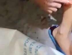 Satu Warga Dabo Berjuang Untuk Lepas Dari Gigitan Ular Pyhton