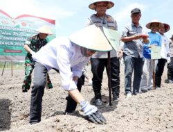 Sinergi Polda Kepri dan Pemko Batam Tanam Jagung Serentak Dukung Swasembada Pangan Nasional 2025
